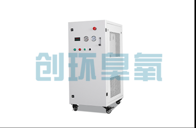 遵义工厂化养鲈必看:2026年臭氧发生器替代传统消毒的最新方案