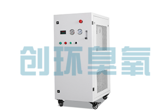 遵义石斑鱼养殖水质调控完整指南:臭氧发生器配置与操作步骤